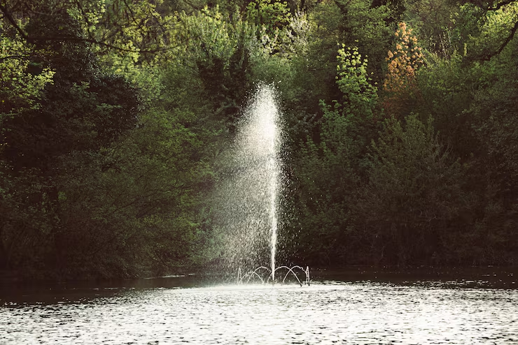 Installing a Kasco Fountain: A Step-by-Step Guide for Beginners